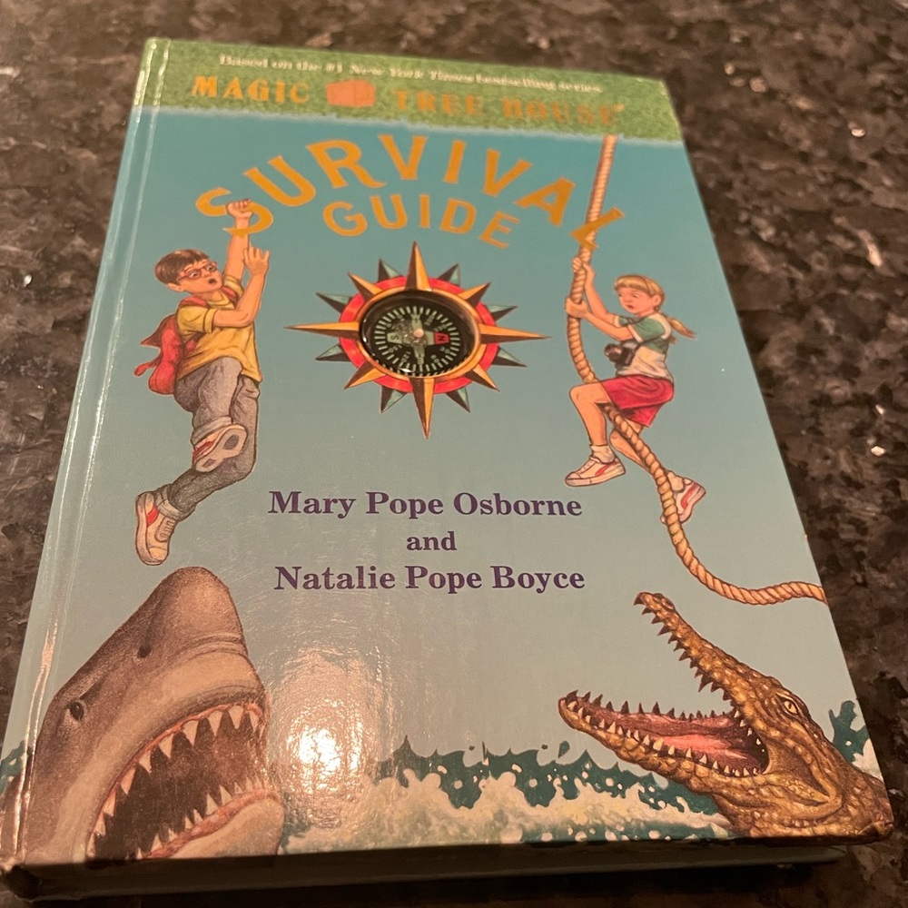 Kids book. Used. Pretty good conditions